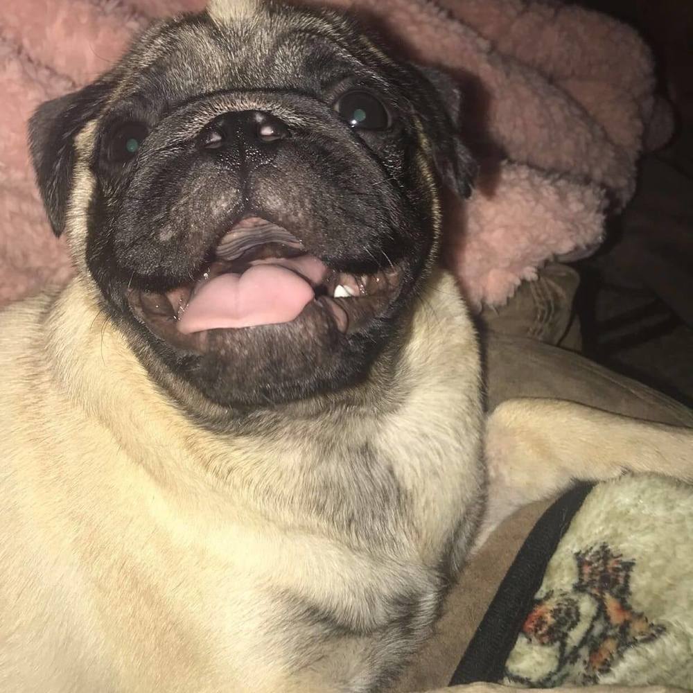 Meet your Posher, Kim